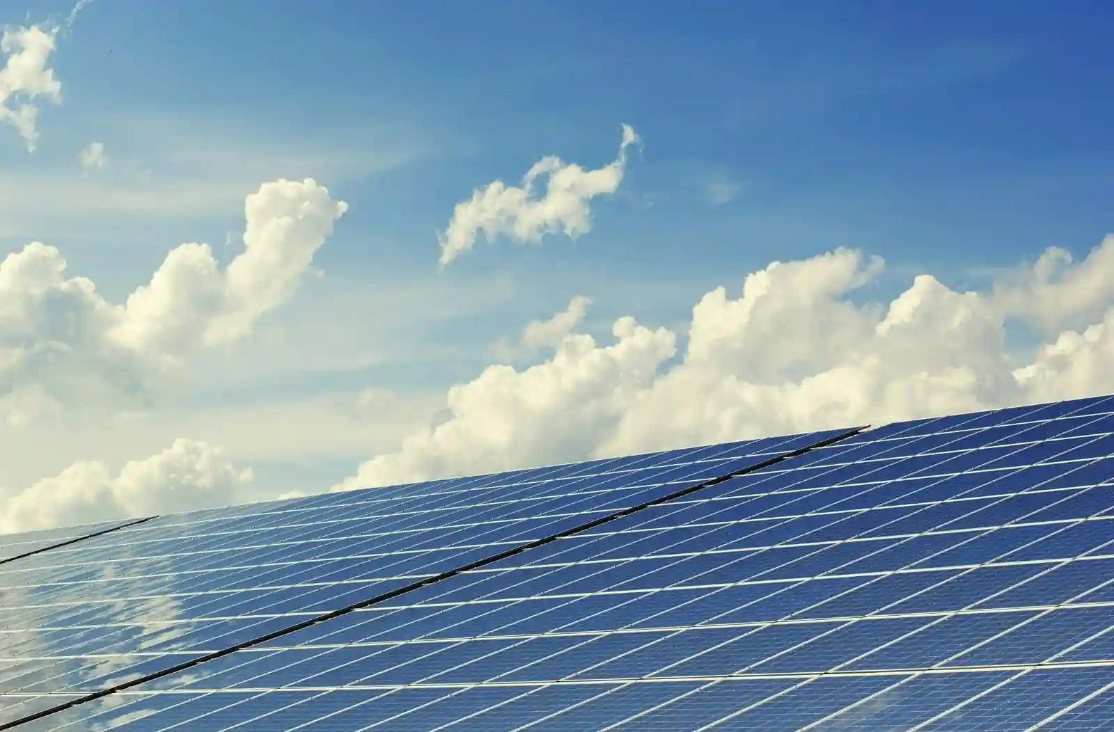 Environmental Sustainability