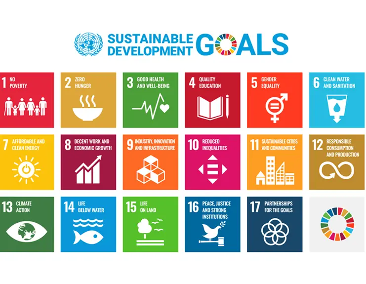 SDG Goals
